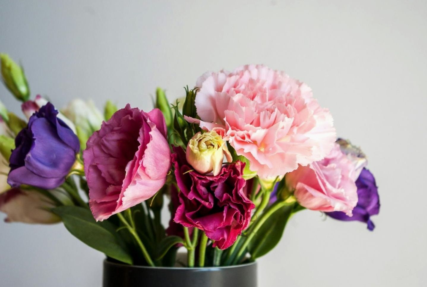 Indoor plant arrangement demonstrating spatial grouping and layered heights